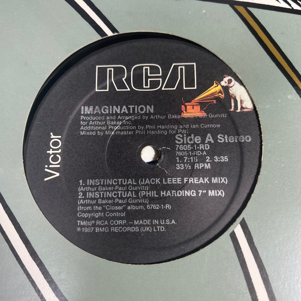 Imagination – Instinctual