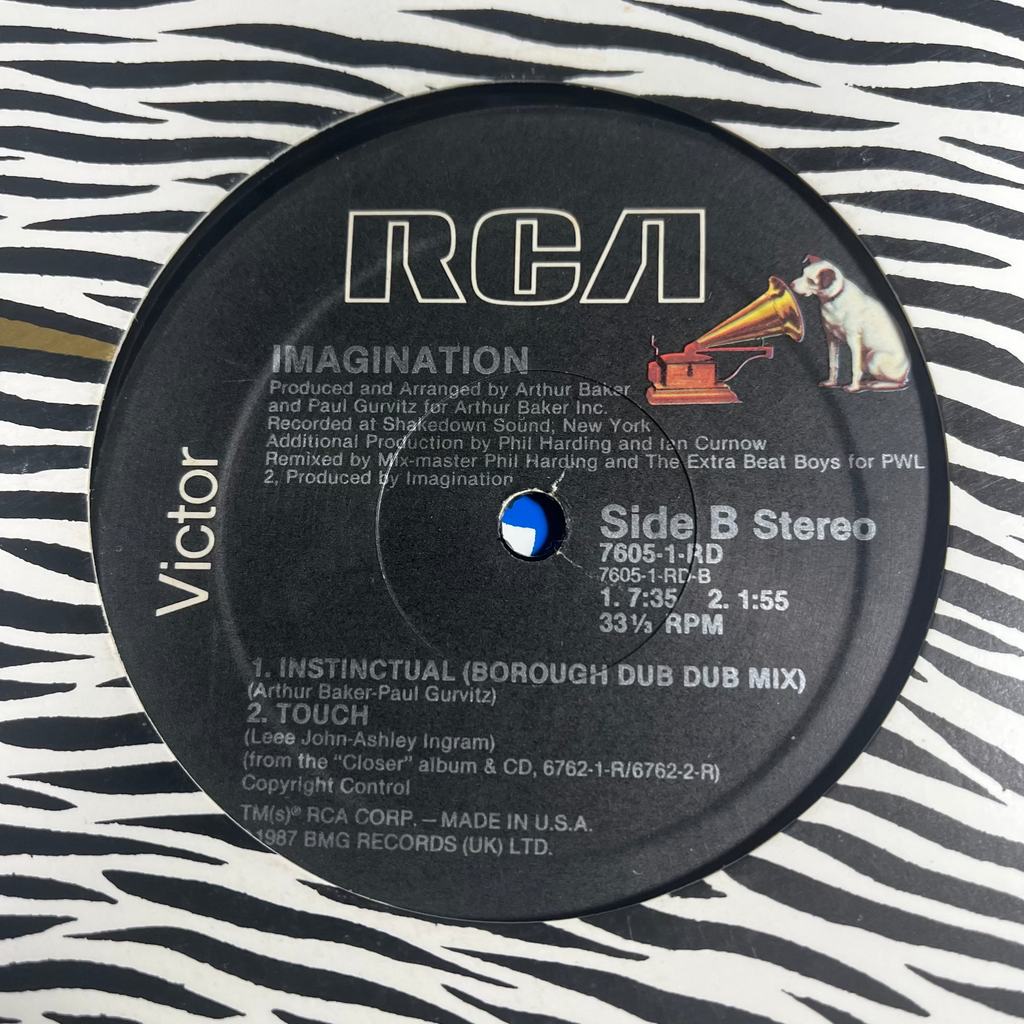 Imagination – Instinctual