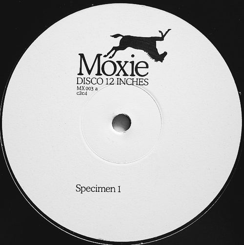 C2C4 – Specimen 1 & 2